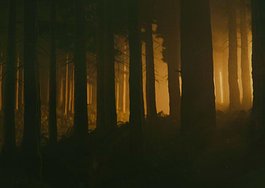 Forest Lost Scene 2