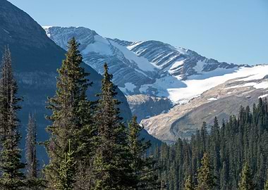 Alpine Mountains in Forest