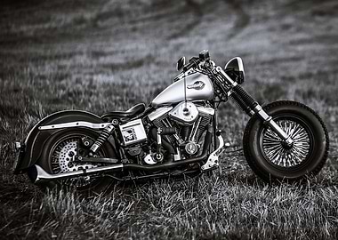 Harley Davidson