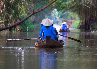 Gao Giong bird sanctuary