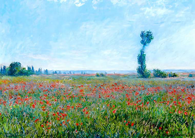 Claude Monet Poppy Field