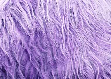 Purple Faux Highland Fur 1