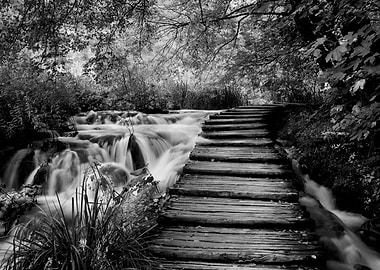 Wooden Path Along Stream