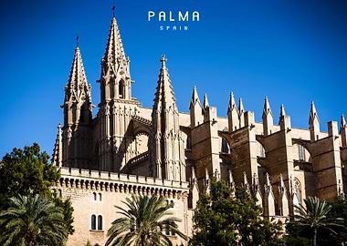 Palma