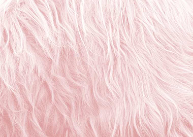 Blush Faux Highland Cow 1