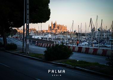 Palma
