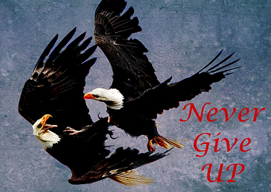 Never Give UP