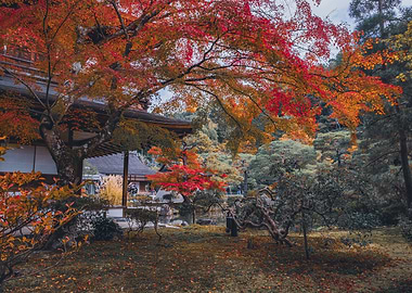Autumn Temple Kyoto Japan