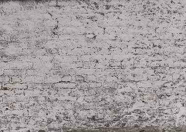 Rustic Loft Brick Wall 1