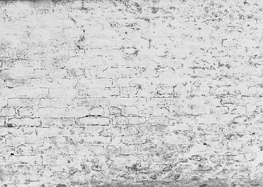 Rustic Loft Brick Wall 2