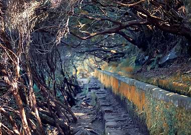 Madeira, Portugal island
