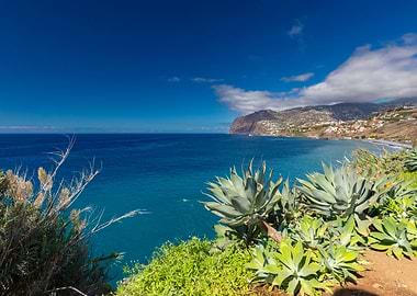 Madeira landscape,Portugal