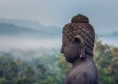 Buddha Head