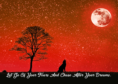 Let go of your fears