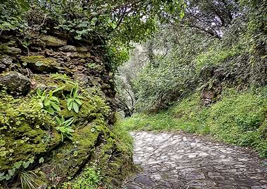 Hiking in Cinque Terre