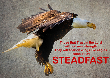 Steadfast