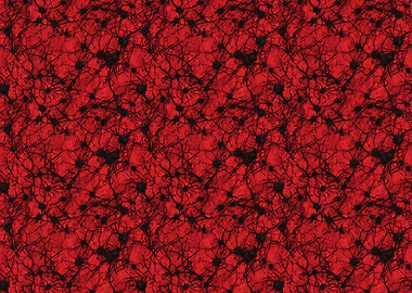 Blood dropped on tar overh