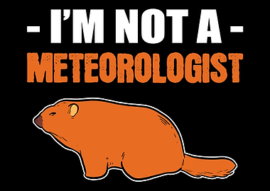 Not a Meteorologist Joker