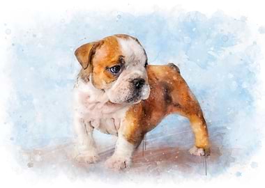 English Bulldog puppy art