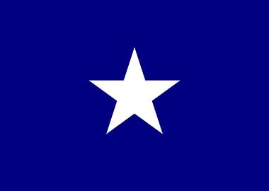 Bonnie Blue Flag