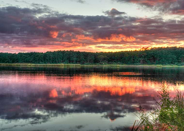 Nature Wild Park USA