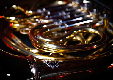 French Horn Constrast