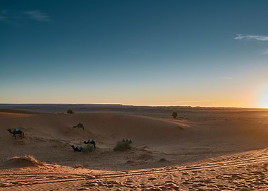great desert