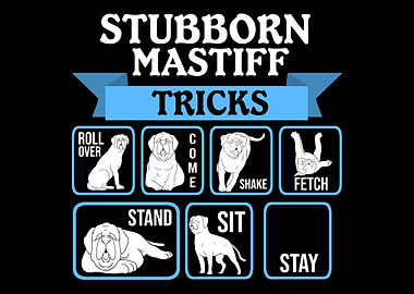 Stubborn Mastiff Tricks