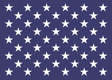 Naval Jack of the US