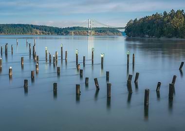 In the morning light