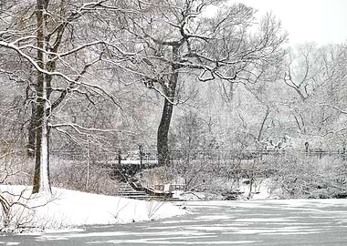 Harlem Meer Soft in Snow