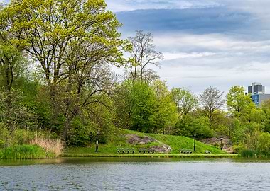 Harlem Meer Spring Green