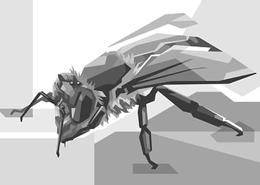 Gray Honey bee WPAP