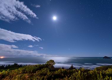 Starry moonlight ocean