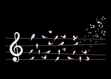 Colorful Birds Musical