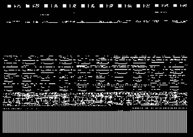 8 bit bug glitch screen bl