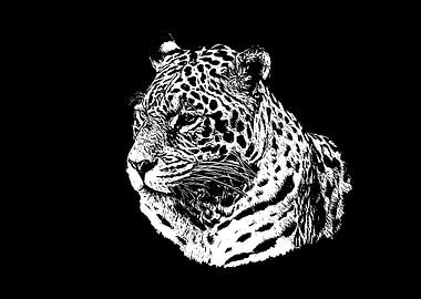 Jaguar portrait