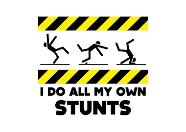 I Do All My Own Stunts