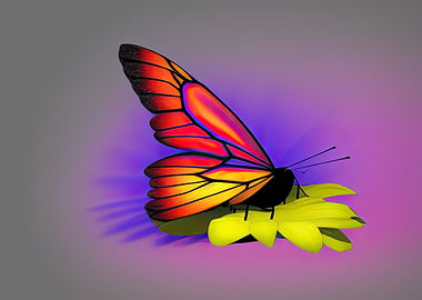 A colorful butterfly