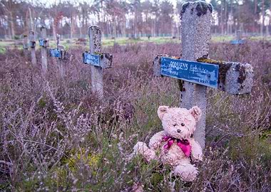 Wet bear with his cross