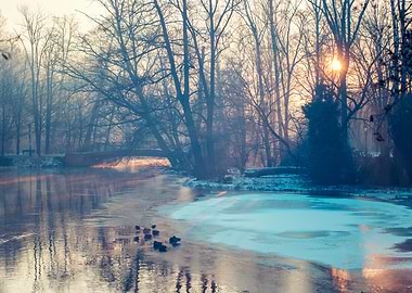 Winter sunrise,lake,trees