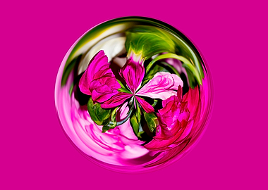 Bright pink floral design