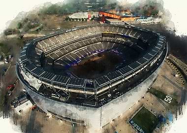 MetLife stadium