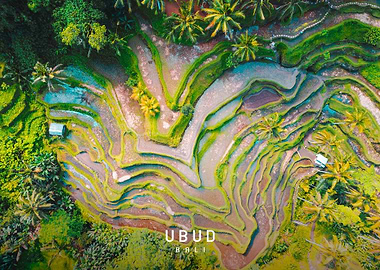 Ubud