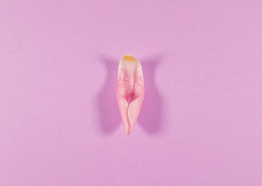 Lilac background with tuli