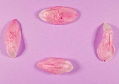 Lilac background with tuli