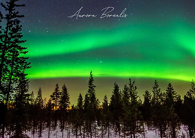 Aurora Borealis