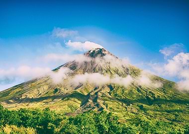 MISTY MOUNTAIN BEAUTY