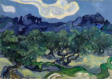 Olive Trees van Gogh