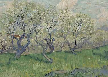 Plum Trees
